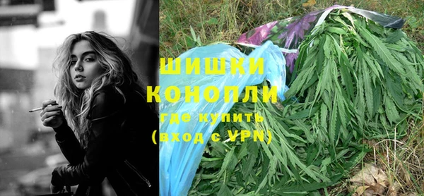 Альфа ПВП Новозыбков