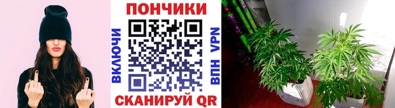 купить   Ханты-Мансийск  MEGA ссылка  Конопля марихуана 